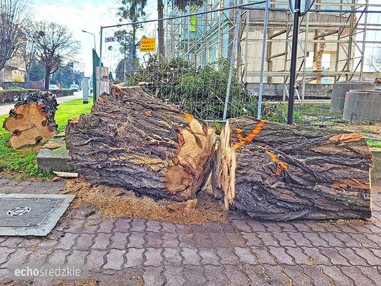 Wycinka drzewa na skrzyżowaniu ul. Wrocławskiej i Przyszkolnej