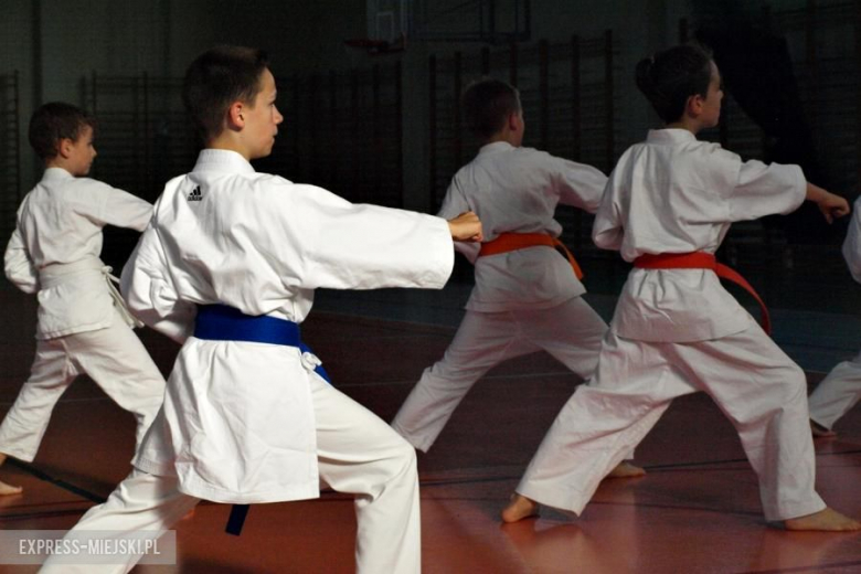 Karate Budokan sekcja Środa Śląska