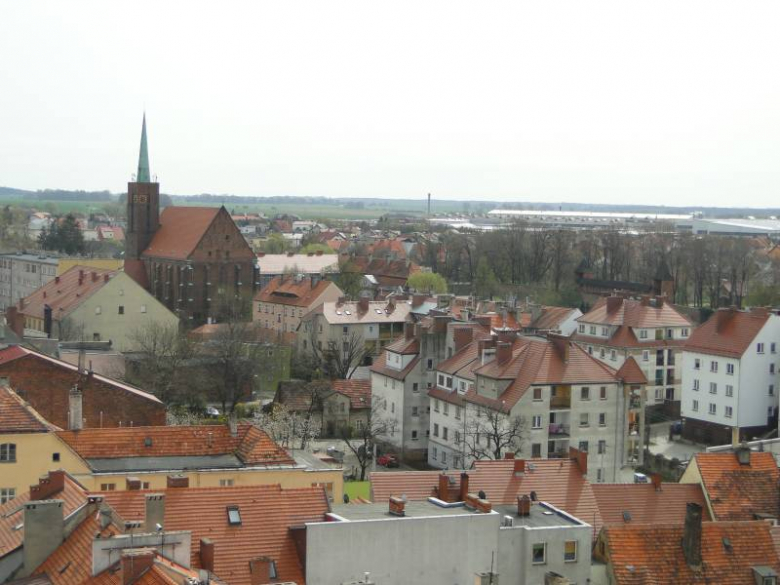 Środa Śląska - widok z wieży