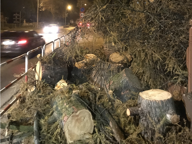 Ścięte drzewo w Środzie Śląskiej przy skrzyżowaniu z ul. Wrocławską