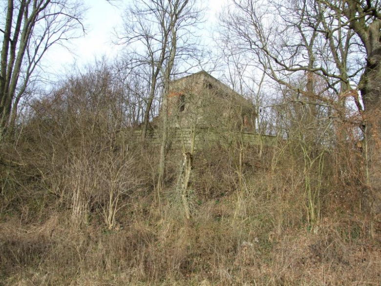 Ruiny dworu od strony południowej 