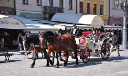 Rynek bez reklam piwa podczas EURO 2012