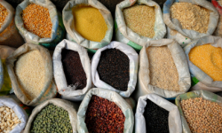 Europejskie specjały na widelcu