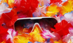 Dbasz to masz, czyli zdrowy festyn na Gajowicach