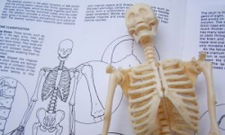 Uniwersytet w miejsce Akademii Medycznej