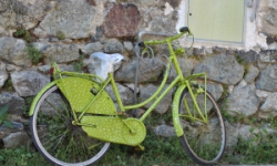 Wrocław coraz bardziej przyjazny dla rowerzystów