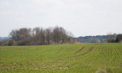 Sprzedaż działek w Malczycach w martwym punkcie