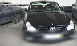 500 krzaków marihuany i luksusowe samochody