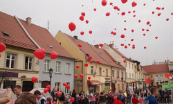 Parada w Środzie Śląskiej