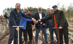 Wojewoda i posłowie sadzili młode sosny