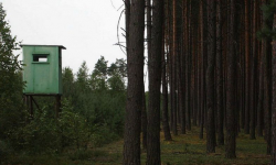 Niebezpieczna przygoda na mokradłach