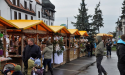 Sumptuastic dał koncert w Miękini