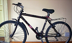 Pijany złodziej wsiadł na rower i pojechał do domu