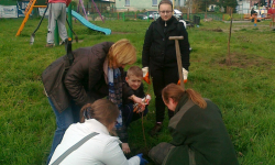 W Malczycach sadzili drzewa