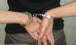 Kradły bilety na Mistrzostwa Świata w Siatkówce Mężczyzn