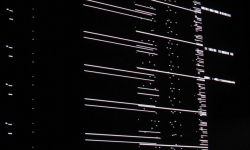 Inauguracja 7 edycji Avant Art Festival