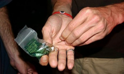 Niósł dopalacze i marihuanę w reklamówce