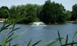 Płetwonurkowie i policja przeszukiwali akwen Kajaki