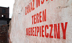 Mieszkańcy boją się dzików