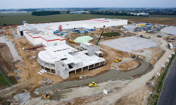 Fabryka Nestle będzie produkować karmę dla kotów