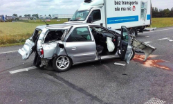 Z notatnika strażaków: Pożar stodoły, kolizje i gniazda owadów