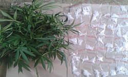 Uprawiał konopie, a psychotropy trzymał w zamrażalniku