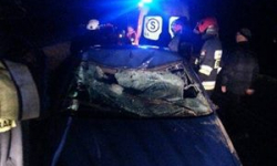 Samochód uderzył w jelenia. Jedna osoba poszkodowana