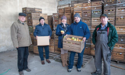 Jabłka dla mieszkańców Ciechowa i sąsiednich miejscowości
