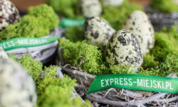 Wesołych Świąt!!!