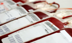 Zbiórka krwi w Środzie Śląskiej