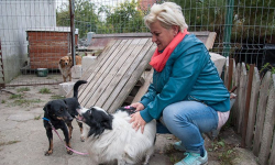 Zaniedbywali zwierzęta, więc im je odebrano. Złożyli skargę