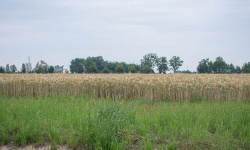 Nordis przenosi się do Wróblowic!