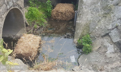 Ropopochodna substancja w kanale burzowym