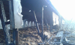 Koło Różanej był pożar w byłym zakładzie kamieniarskim