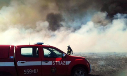 Aż 11 zastępów straży gasiło pożar nieużytków w Miękini