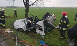 Kierowca był uwięziony w samochodzie. Wypadek między Mirosławicami, a Wojnarowicami