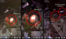 Gimnazjalistki, które znęcały się nad zwierzętami bez zarzutów. Sprawa trafi jednak do sądu