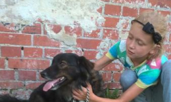 Uciekł Misiek. Rodzina prosi o pomoc w jego znalezieniu