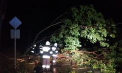 Pożary pól i powalone drzewa. Raport średzkiej straży pożarnej