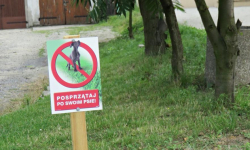 Posprzątaj po swoim psie - gmina postawiła tabliczki