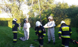 W ciągu ostatnich dni strażacy kilkanaście razy interweniowali przy... osach