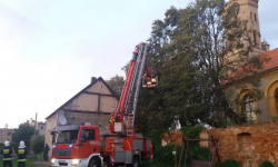 Wiszący konar zagrażał pobliskiemu budynkowi