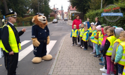 Komisarz Lew uczył przedszkolaki przechodzić przez pasy