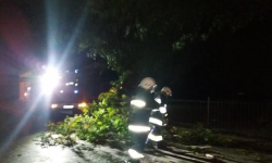 Powalone drzewa, uszkodzone budynki. Średzcy strażacy interweniowali wczoraj blisko 30 razy