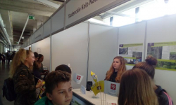 Uczniowie SP im. Marii Konopnickiej w Kostomłotach uczestnikami XX DFN