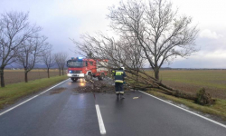 Strażacy-ochotnicy usuwali skutki orkanu
