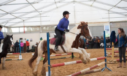 Zawody jeździeckie w Gałowie. Tak świętowali Dzień Niepodległości