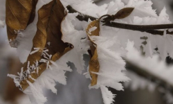 IMGW ostrzega: W czwartek mogą wystąpić opady śniegu