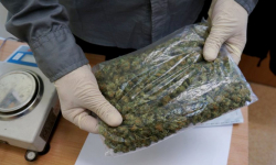 U 22-latka znaleziono blisko 800 porcji marihuany i substancji psychotropowych