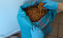 Swoim działaniem naraziła Skarb Państwa na straty w wysokości około 14 tys. złotych